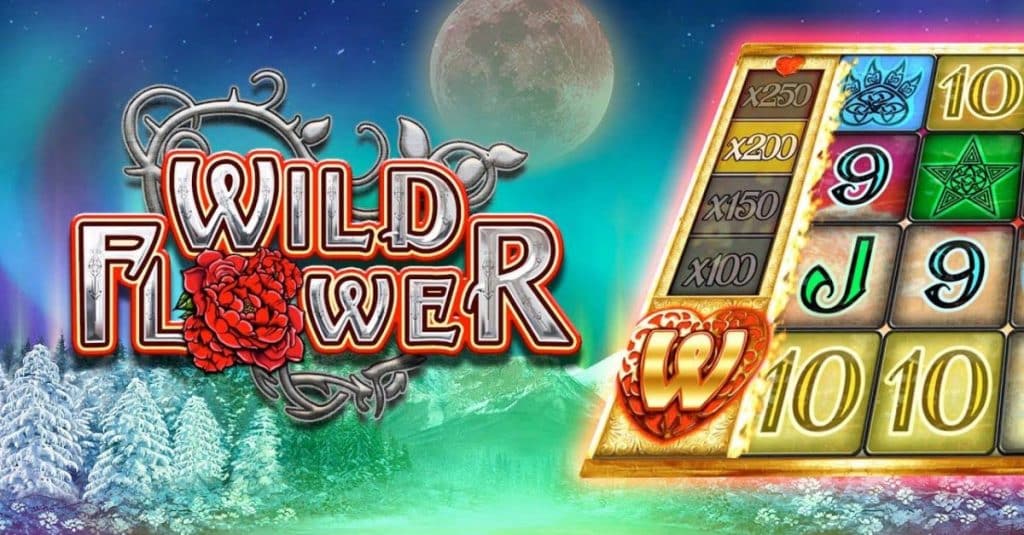 Wild Flower Big Time Gaming