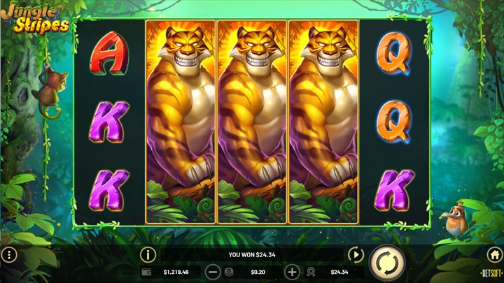 Jungle Stripes Jungle King Wilds fonctions